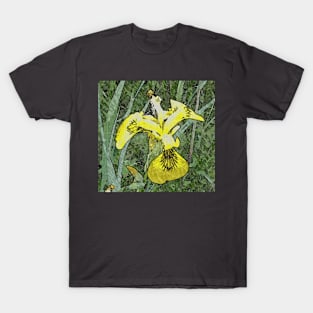 Iris in yellow T-Shirt